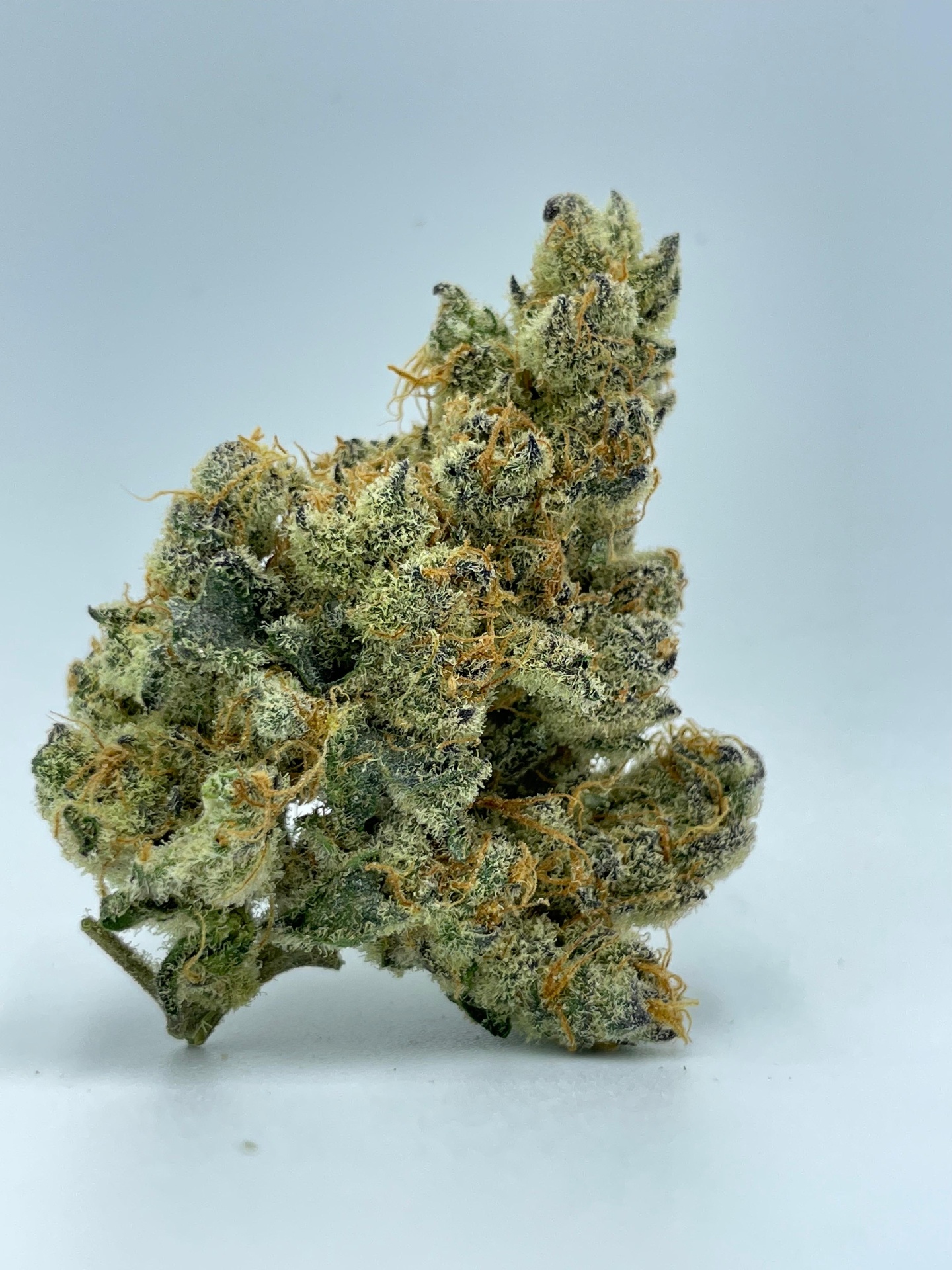 Tall cured cannabis bud with vibrant orange pistils