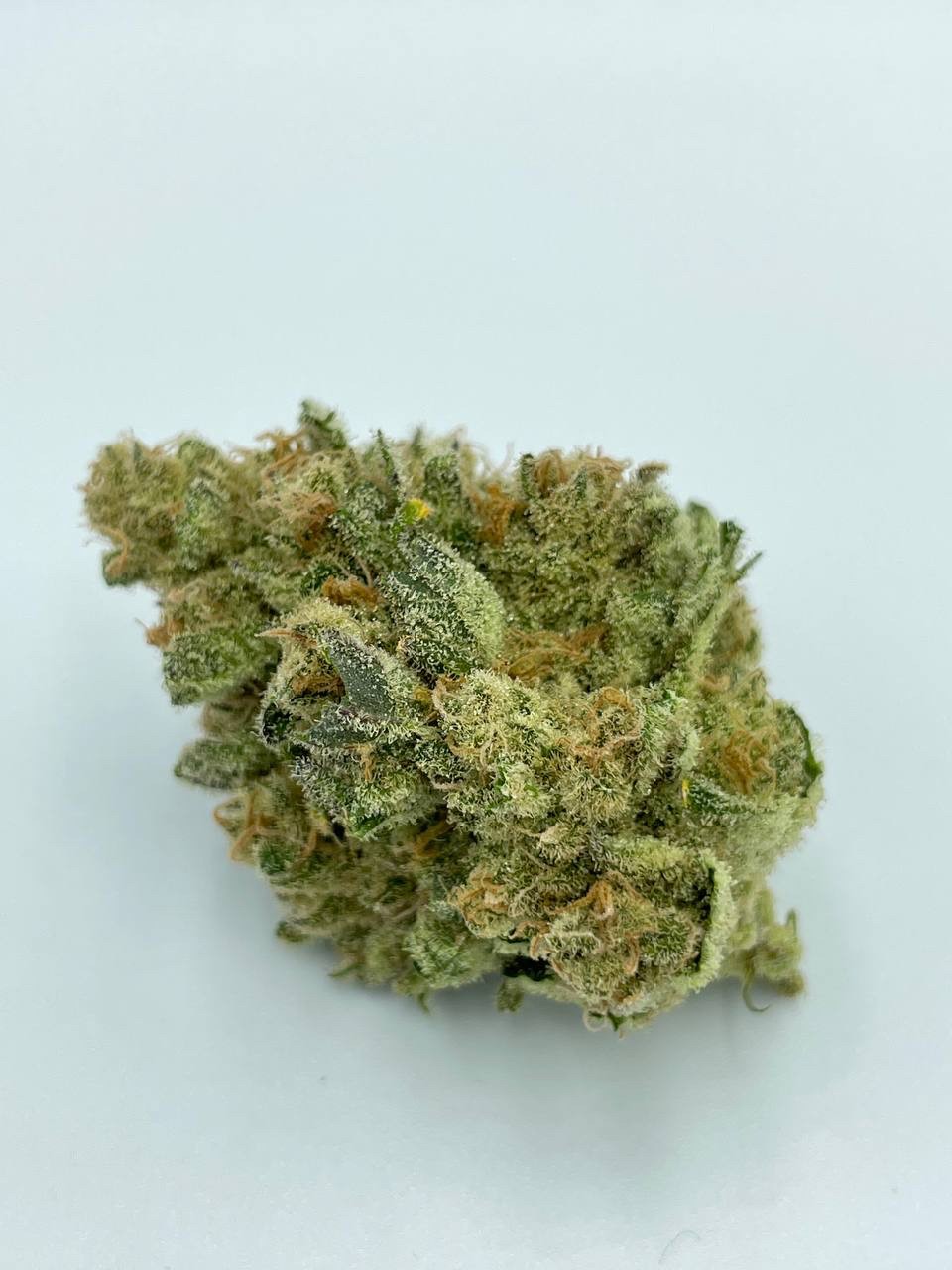 Royal Gorilla medical cannabis flower