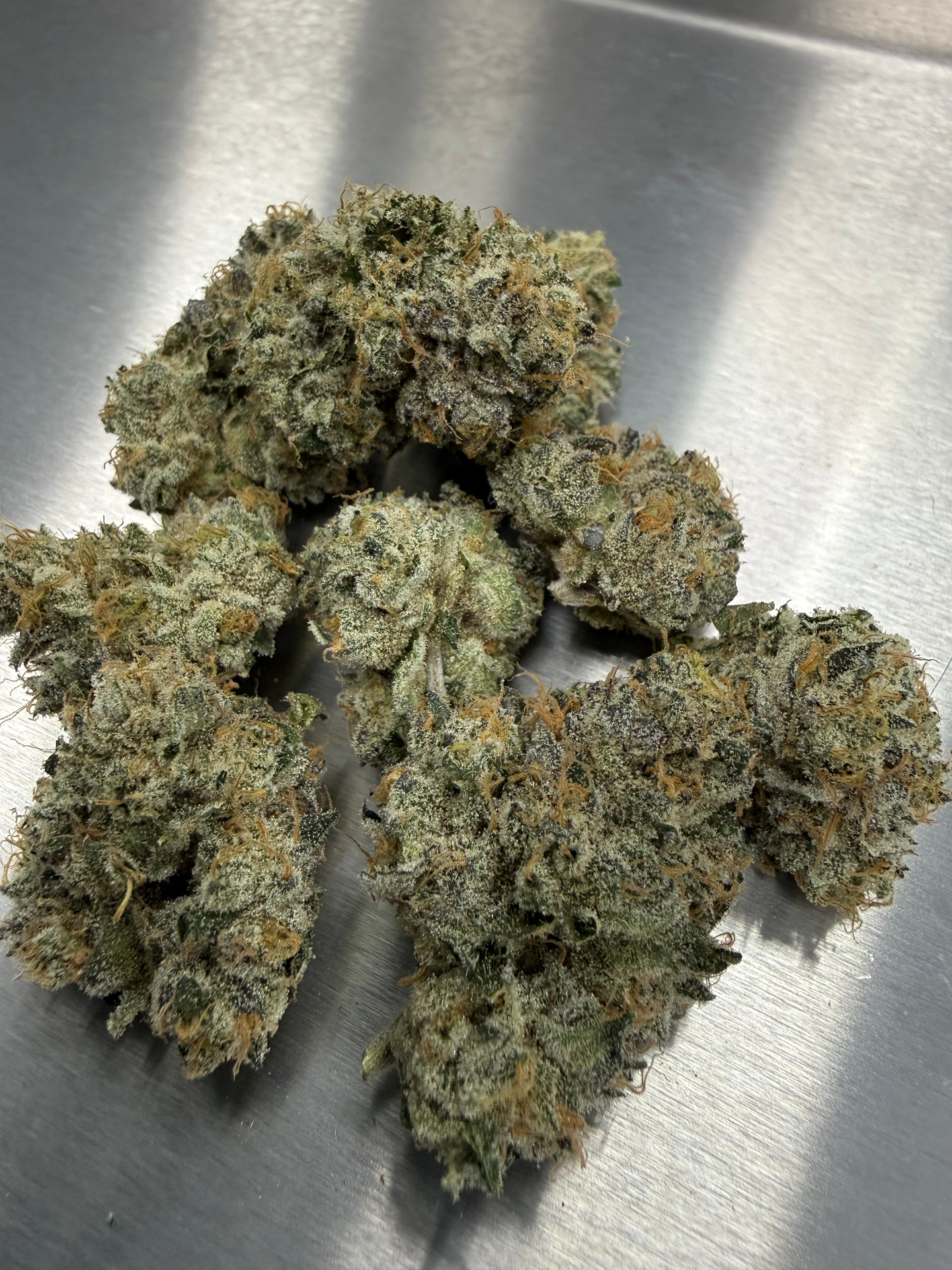 Cluster of cured cannabis buds on stainless steel surface