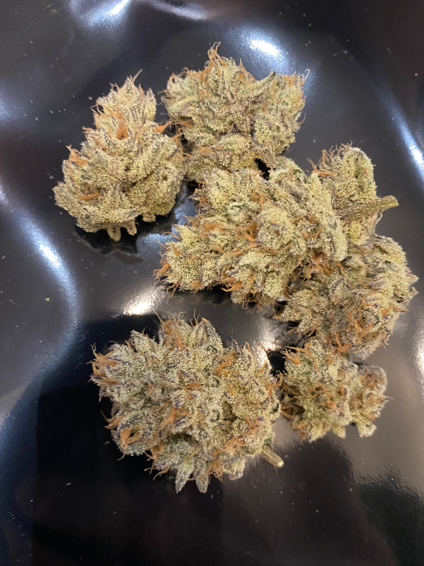 Cured medical cannabis flower buds