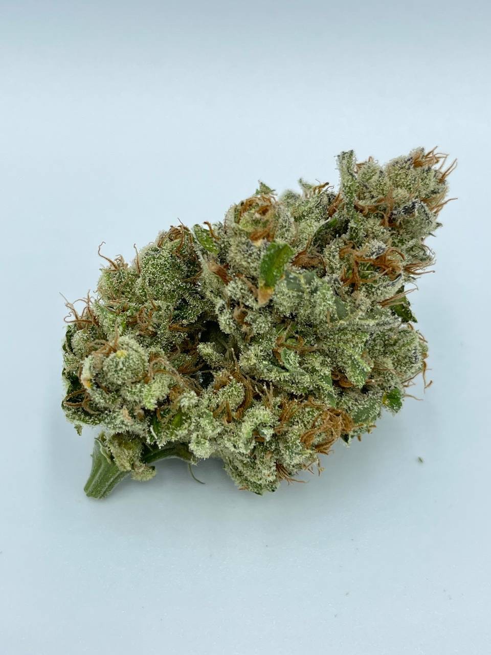 Critical Kush medical cannabis flower bud