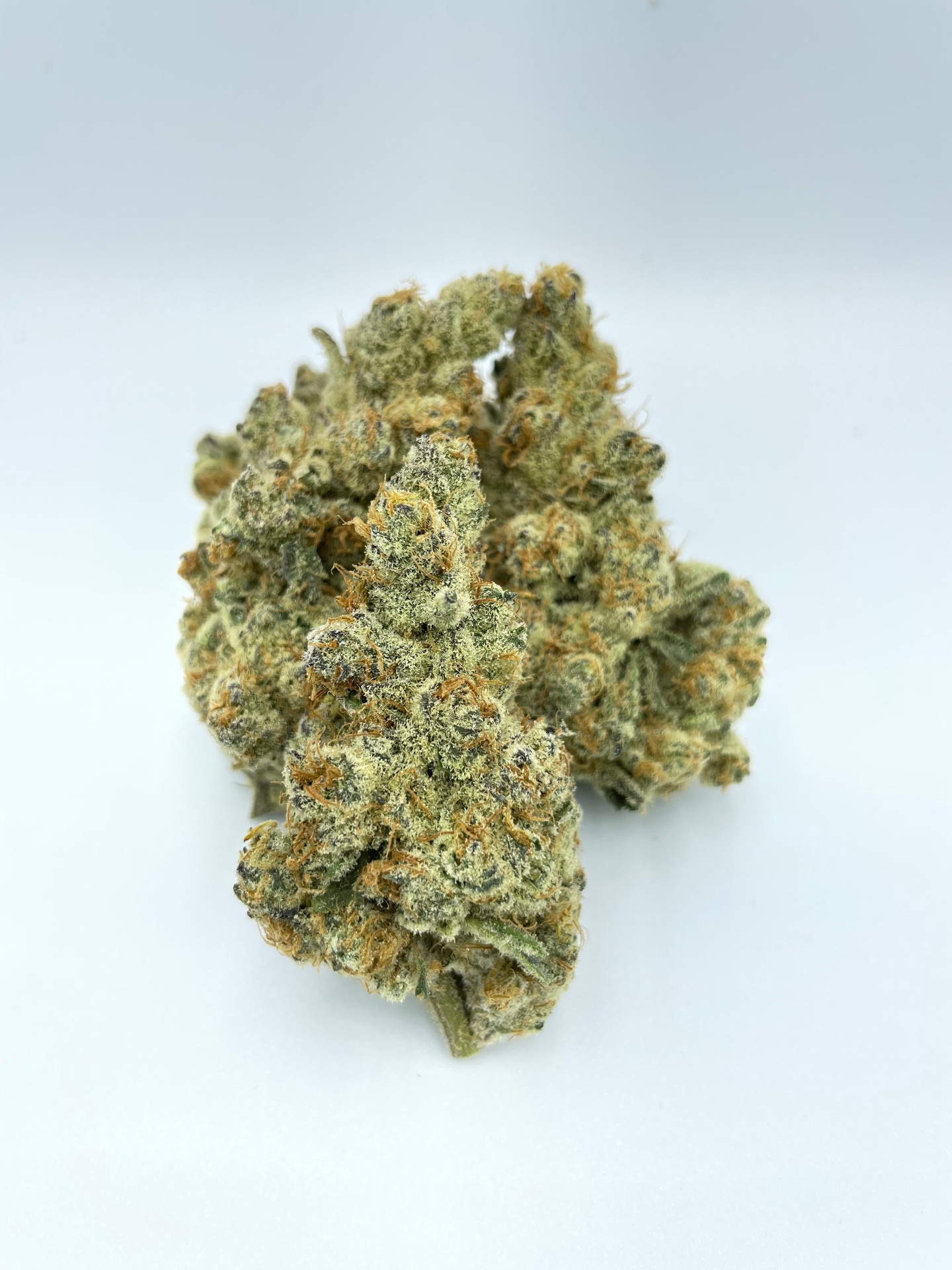 Cured cannabis buds on a clean white background